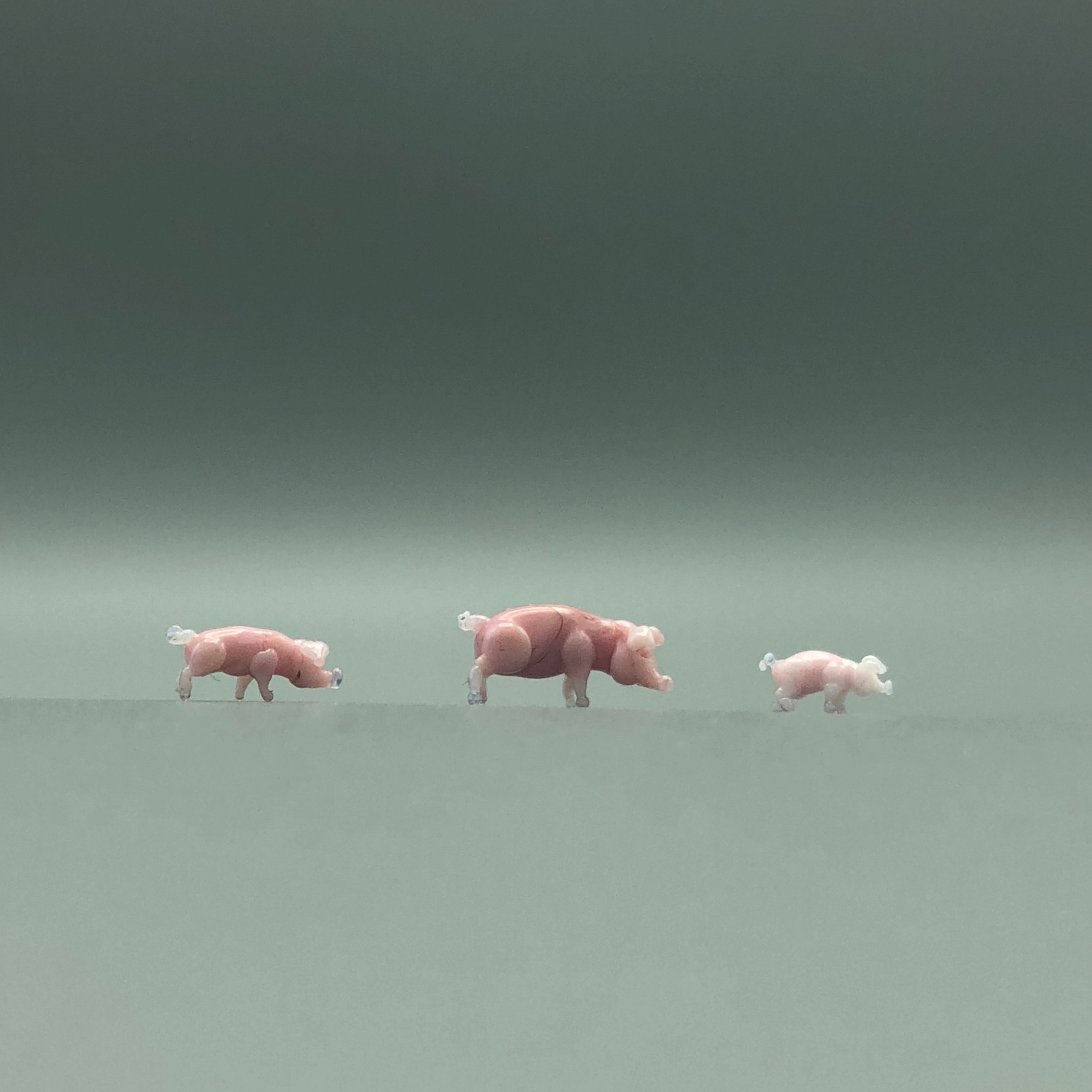 Miniatura de Cristal Cerdo