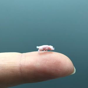 Miniatura de Cristal Cerdo (baby)